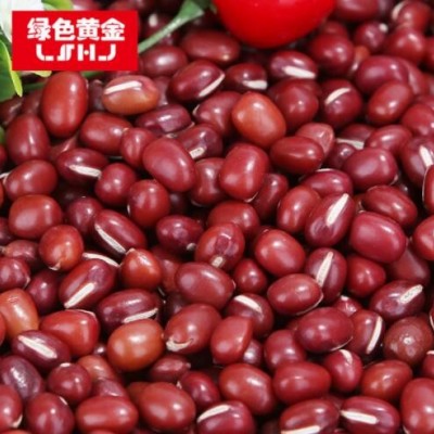 绿色黄金红豆薏米红小豆400g五谷杂粮真空包装批发农产品