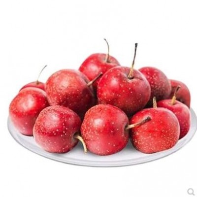 新鲜山楂果5斤装鲜山东水果现摘现发特级大果食用山里红果糖葫芦1