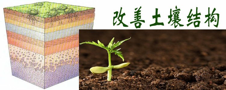 复合肥 改善土壤结构