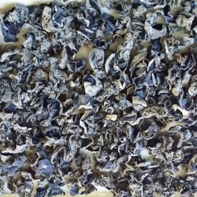 邹大菇 崇明生态林下食用菌菇 黑木耳 香菇产地价格