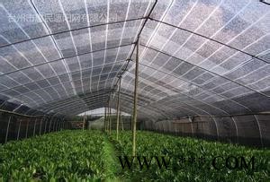 香菇大棚遮阳网#香菇种植抗旱网#黑色蔬菜种植塑料网