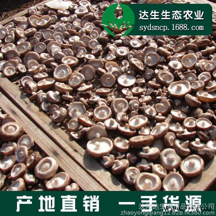 香菇 蘑菇 食用菌 干香菇 干货 东北特产 厂家批发500g