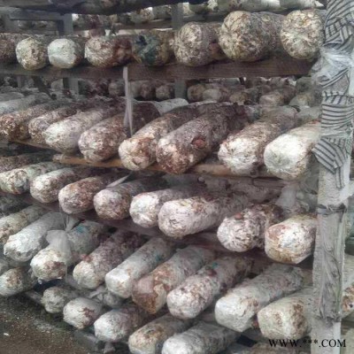 鹏程农业 香菇栽培袋