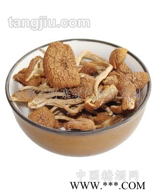 干茶树菇 食用菌种 有机食品