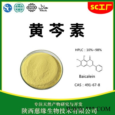 慈缘生物 黄芩素 90%95%98% CAS:491-67-8 黄芩素厂家