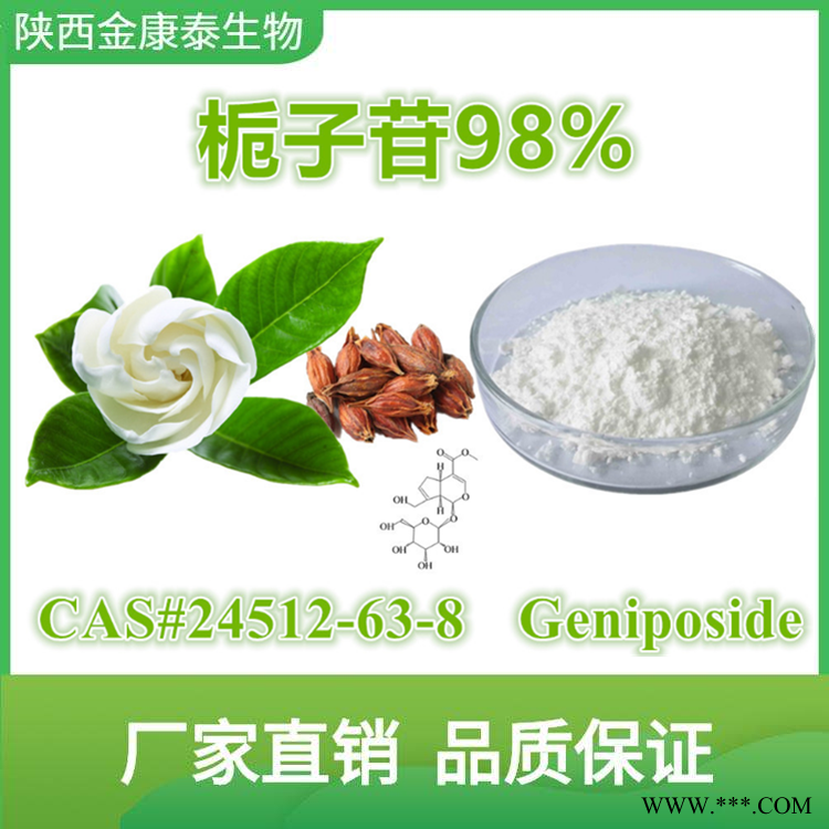 栀子提取物 栀子苷98% 京尼平苷 Geniposide