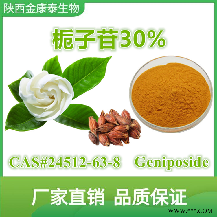 栀子提取物 栀子苷30% 京尼平苷 Geniposide