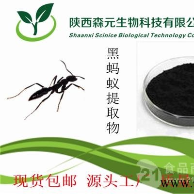 黑蚂蚁提取物 黑蚂蚁浓缩粉 比例提取物 质优价优 1公斤起订 森元
