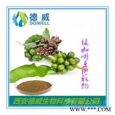 绿咖啡豆提取物 Coffee Bean Extract  绿咖啡豆提取物价格