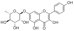 *酚 7-O-鼠李糖苷;Kaempferol 7-O-rhamnoside