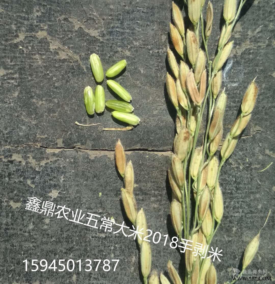 鑫鼎农业五常大米稻谷2018年新水稻