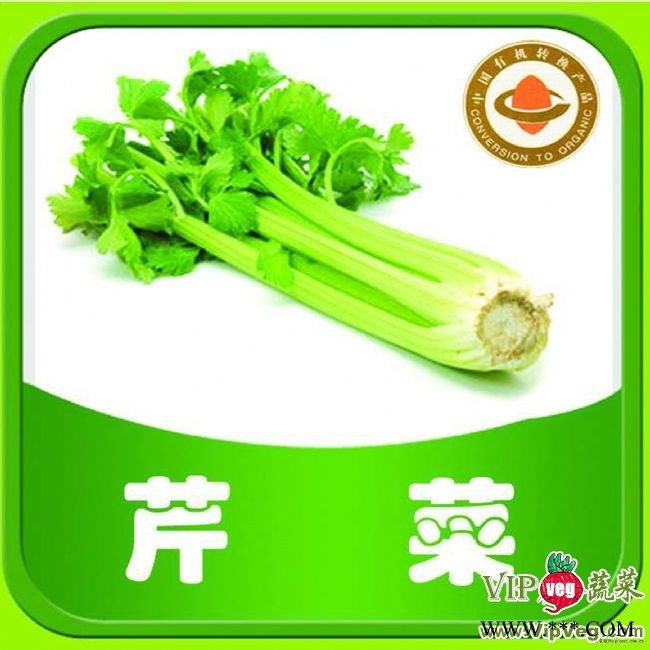 山东潍坊寿光_供应有机蔬菜-芹菜