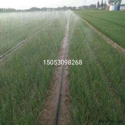 大田灌溉 设备蔬菜喷水管 微喷带