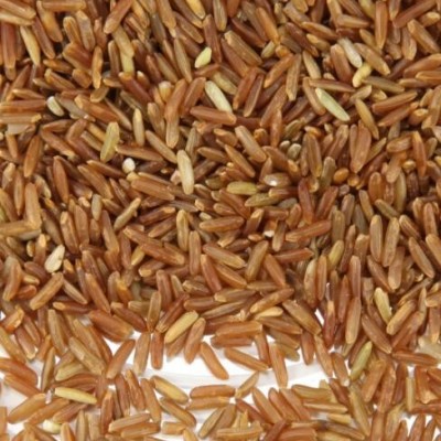红米红粳米500g新货农家自产健身红糙米红香大米玄米批发五谷杂粮