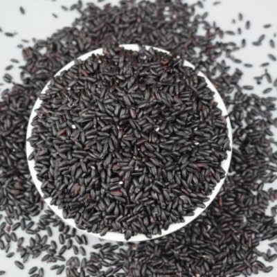 黑米 黑香米 黑糙米 粗粮 无染色黑大米500g 各种五谷杂粮