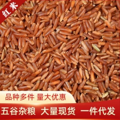 现货批发红米红糙米五谷杂粮红稻米红大米红梗米500g