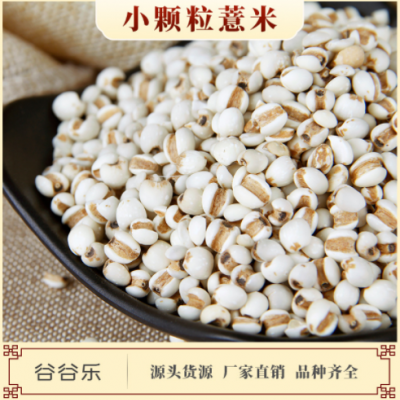 批发低温烘焙五谷杂粮贵州新货磨坊代餐粉用炒薏苡仁米熟小薏米