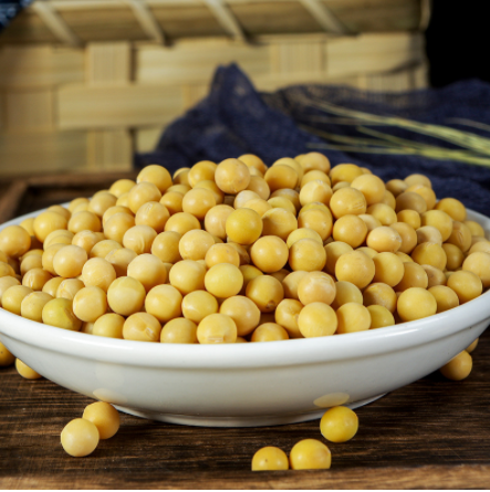 小金黄芽豆 小圆豆珍珠粒芽豆批发 生豆芽用产地货源散装批发98斤