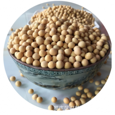 现货批发农家自产东北大豆 营养黄豆豆浆豆制品榨油原料五谷杂粮