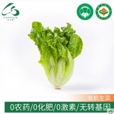 蓝诗戴新鲜有机蔬菜当季时令有机绿生菜5斤装现采