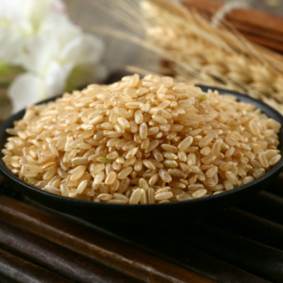 糙米全胚芽大米新米糙大米代餐粗粮糙米饭五谷杂粮早餐粥山东特产