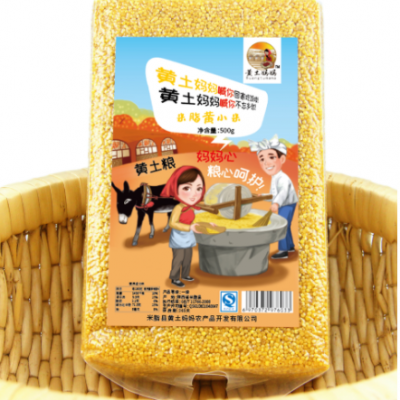 陕西黄小米五谷杂粮小米 500g散装黄小米批发 月子米宝宝米