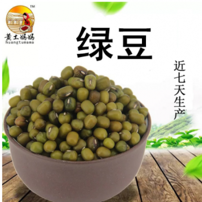 陕北特产农家自产绿豆 480g绿豆精装 五谷杂粮绿豆 散装绿豆