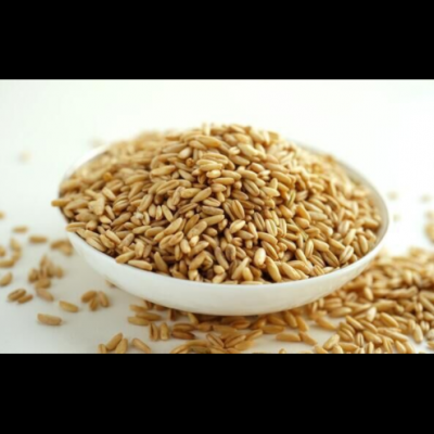 低温烘焙燕麦米 熟燕麦 磨粉 现磨豆浆原料 五谷杂粮 批发