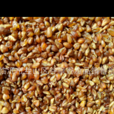 低温烘焙熟苦荞麦 磨粉 现磨豆浆 原料五谷杂粮 批发