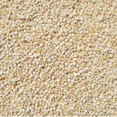 南美引进高原种植藜麦、白藜麦、白藜麦米