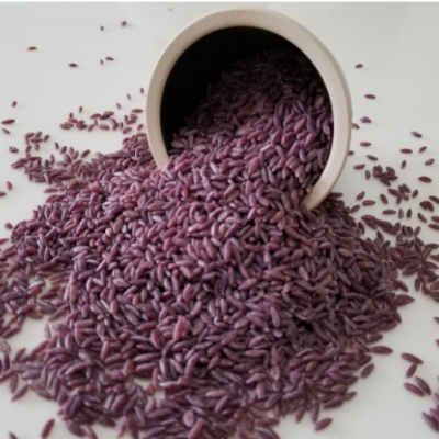 现货供应紫薯米营养杂粮米稻谷米早餐米粗粮 紫薯米 袋装25kg