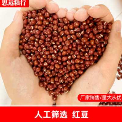 五谷杂粮现货批发赤红豆小红豆 50斤家用红豆