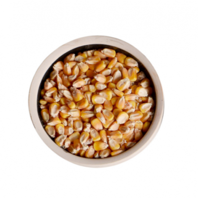 厂家批发小玉米1000g装五谷杂粮烘熟小玉米可一件代发