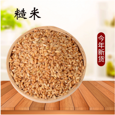 低温烘焙熟糙米 现磨粗粮糙米五谷杂粮磨粉原料