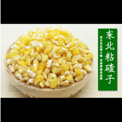 大碴子包邮5斤装 玉米碴东北农家自产玉米碎玉米碴子粗粮五谷杂粮