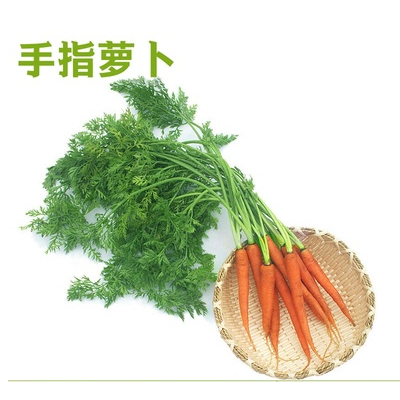 手指萝卜新鲜胡萝卜迷你小红人参萝卜即食西餐蔬菜500g水果蔬菜