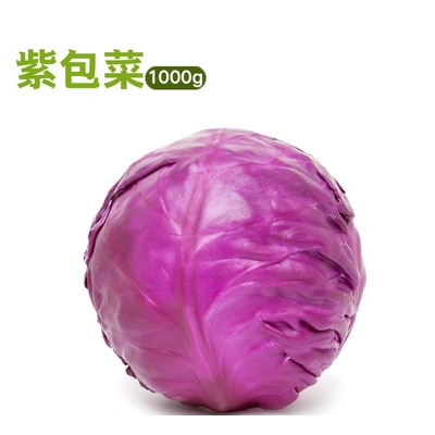 新鲜蔬菜紫甘蓝1000g紫包菜紫色球生菜蔬菜沙拉生菜即食橄榄菜