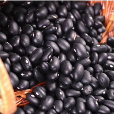 黑芸豆2020年新品上市出口标准可以出口黑芸豆
