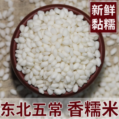 东北圆粒粳糯米2021新米5斤黑龙江特级粘大米五常江米包粽子米