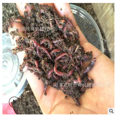 厂家供应蚯蚓粪有机肥改良土壤疏松度提高有机质发酵羊粪颗粒