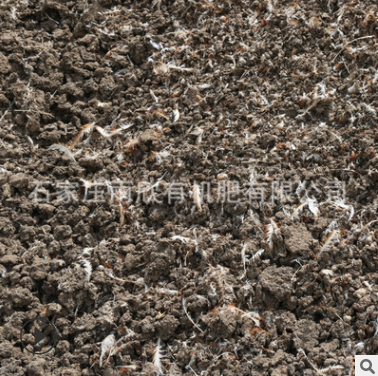 有机肥厂家晾晒鸡粪有机肥 复合微生物肥 颗粒发酵有机肥发酵牛粪
