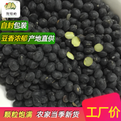 山东农家自产黑豆 绿芯黑豆 粗粮500克