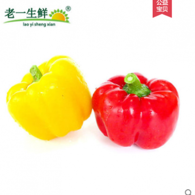 新鲜彩椒圆椒红黄彩椒灯笼椒甜圆椒沙拉蔬菜 500g