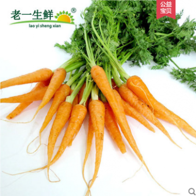 新鲜蔬果带叶小胡萝卜迷你手指胡萝卜西餐蔬菜500g