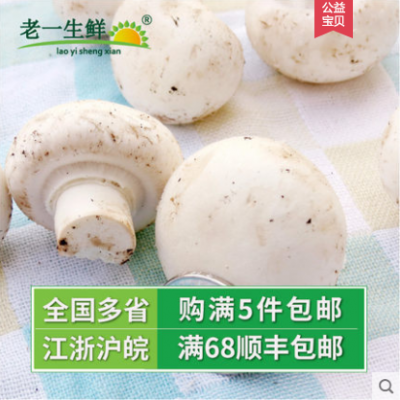 口蘑 新鲜食用菌 鲜白蘑菇 口菇 双孢菇 近一斤