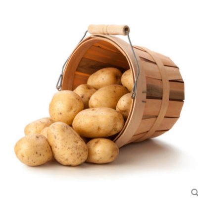 黄心土豆新鲜现挖洋芋马铃薯农家自种自产土豆子3斤番薯