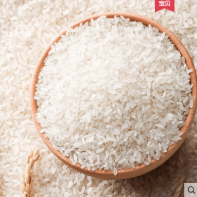 新米上市益生菌发酵稻花香大米长粒香东北大米黑龙江五常大米5斤