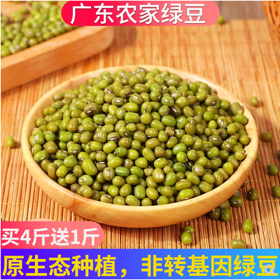 2斤新鲜绿豆广东农家有机非转基因小绿豆发生豆芽种子煮粥汤专用
