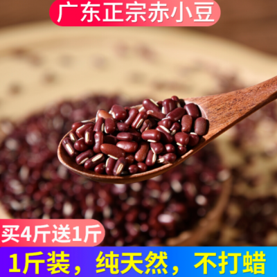 广东正宗赤小豆农家自产纯天然长粒有机红豆赤豆杂粮2021新货500g