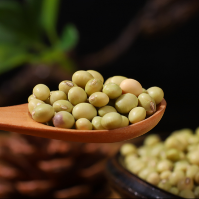 3斤广东农家自种本地青皮黄豆打豆浆专用有机青豆子非转基因小粒